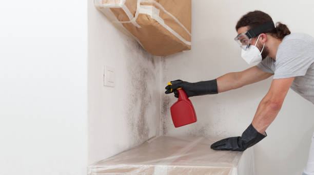Professional Mold Removal technician working in Kingston, NJ
