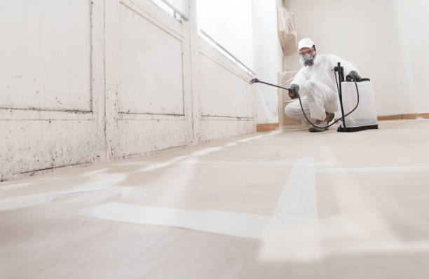 24/7 Emergency Mold Removal experts in Kingston, NJ